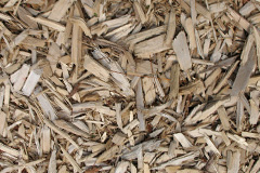 biomass boilers Rhosrobin